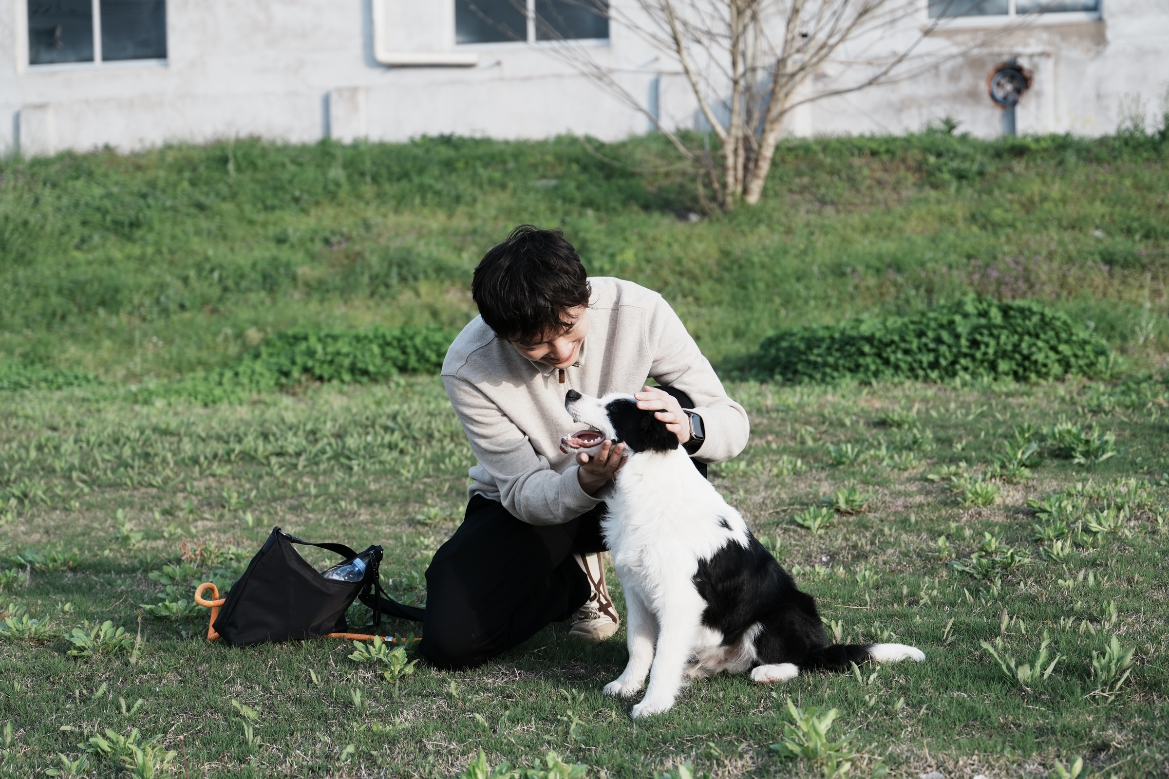 with a dog